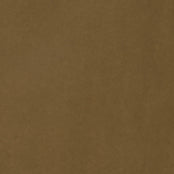 TRENCH OHIO en coton imperméable coloris bronze